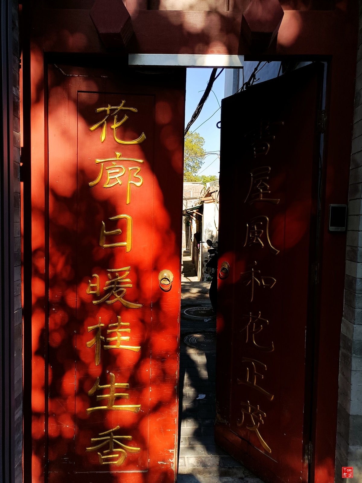 （手机版）街拍杂图 （18图）