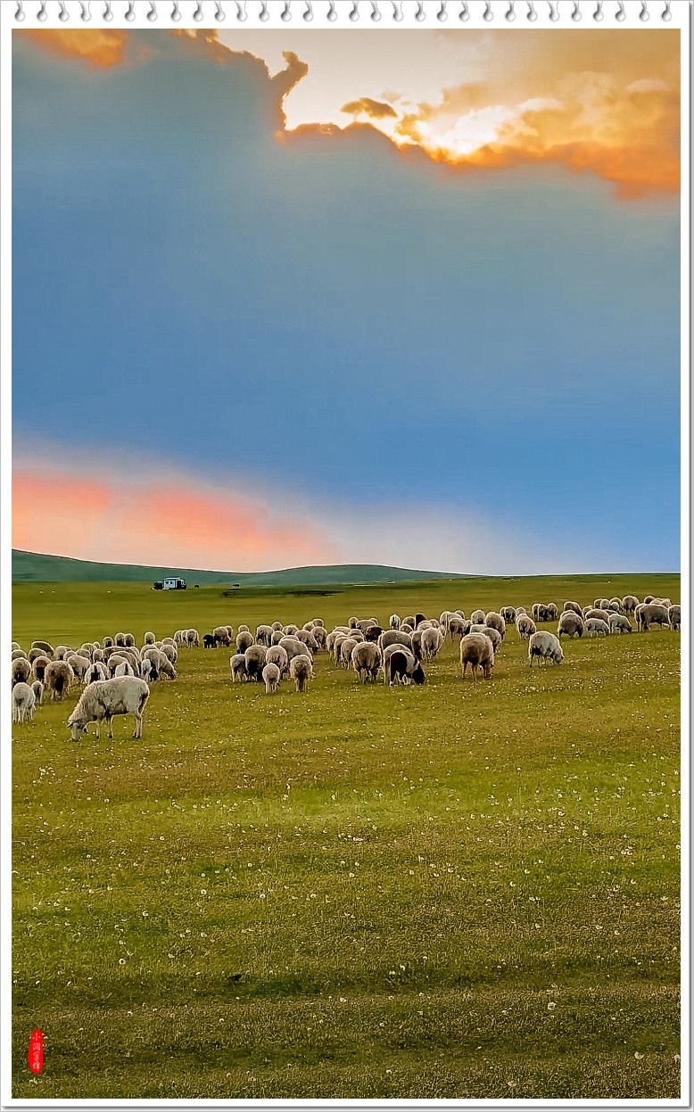 2024年-呼伦贝尔风光纪实抓拍-0519