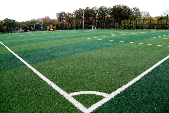 新人新帖，天气不好，公园随拍