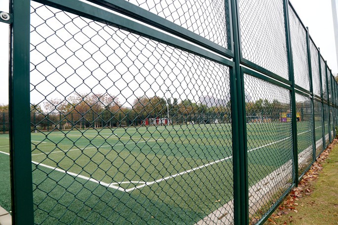 新人新帖，天气不好，公园随拍