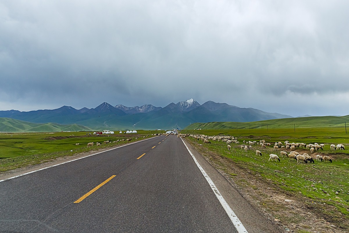 旅游记录 ：新疆 · 穿越独库公路 · 第二天 · 巴音布鲁克草原 · 天鹅家园