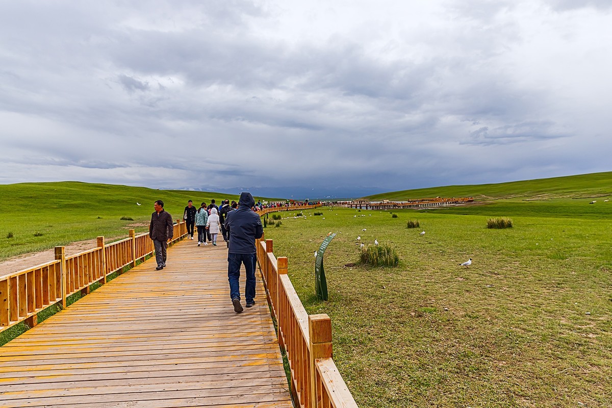 旅游记录 ：新疆 · 穿越独库公路 · 第二天 · 巴音布鲁克草原 · 天鹅家园