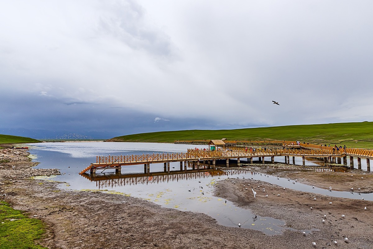 旅游记录 ：新疆 · 穿越独库公路 · 第二天 · 巴音布鲁克草原 · 天鹅家园