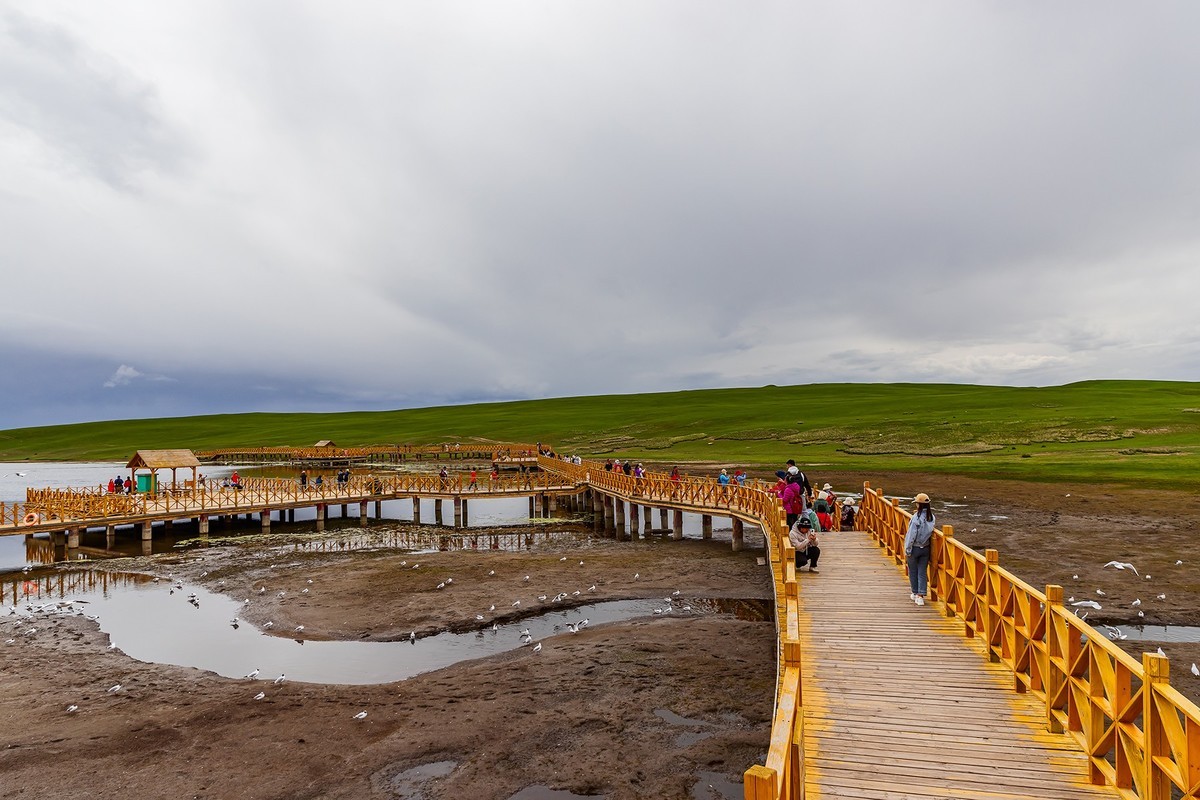 旅游记录 ：新疆 · 穿越独库公路 · 第二天 · 巴音布鲁克草原 · 天鹅家园