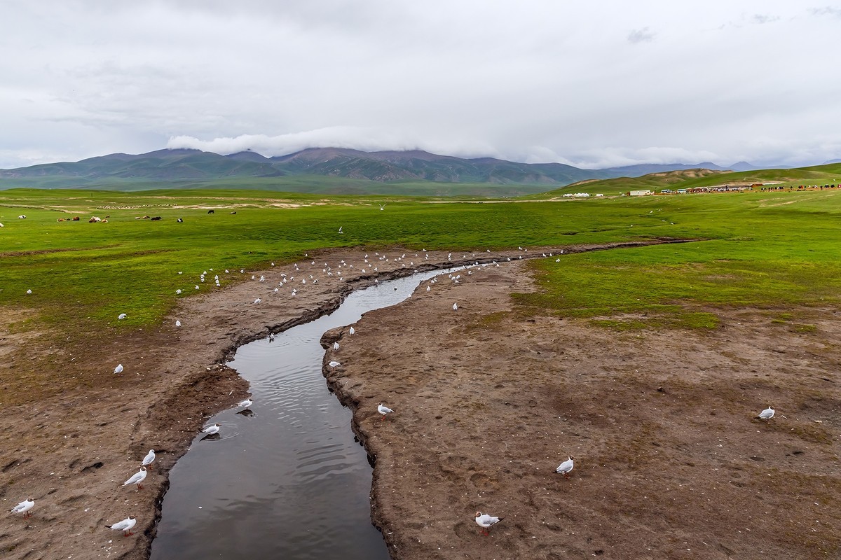 旅游记录 ：新疆 · 穿越独库公路 · 第二天 · 巴音布鲁克草原 · 天鹅家园