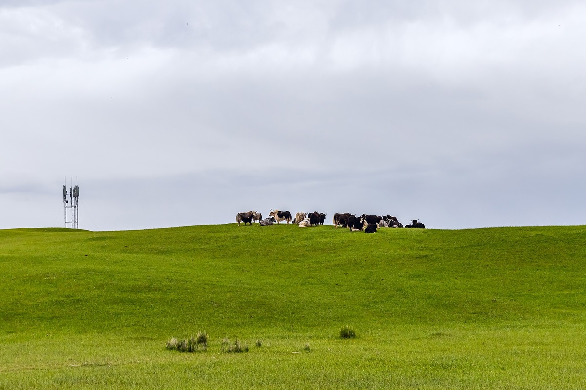 旅游记录 ：新疆 · 穿越独库公路 · 第二天 · 巴音布鲁克草原 · 天鹅家园