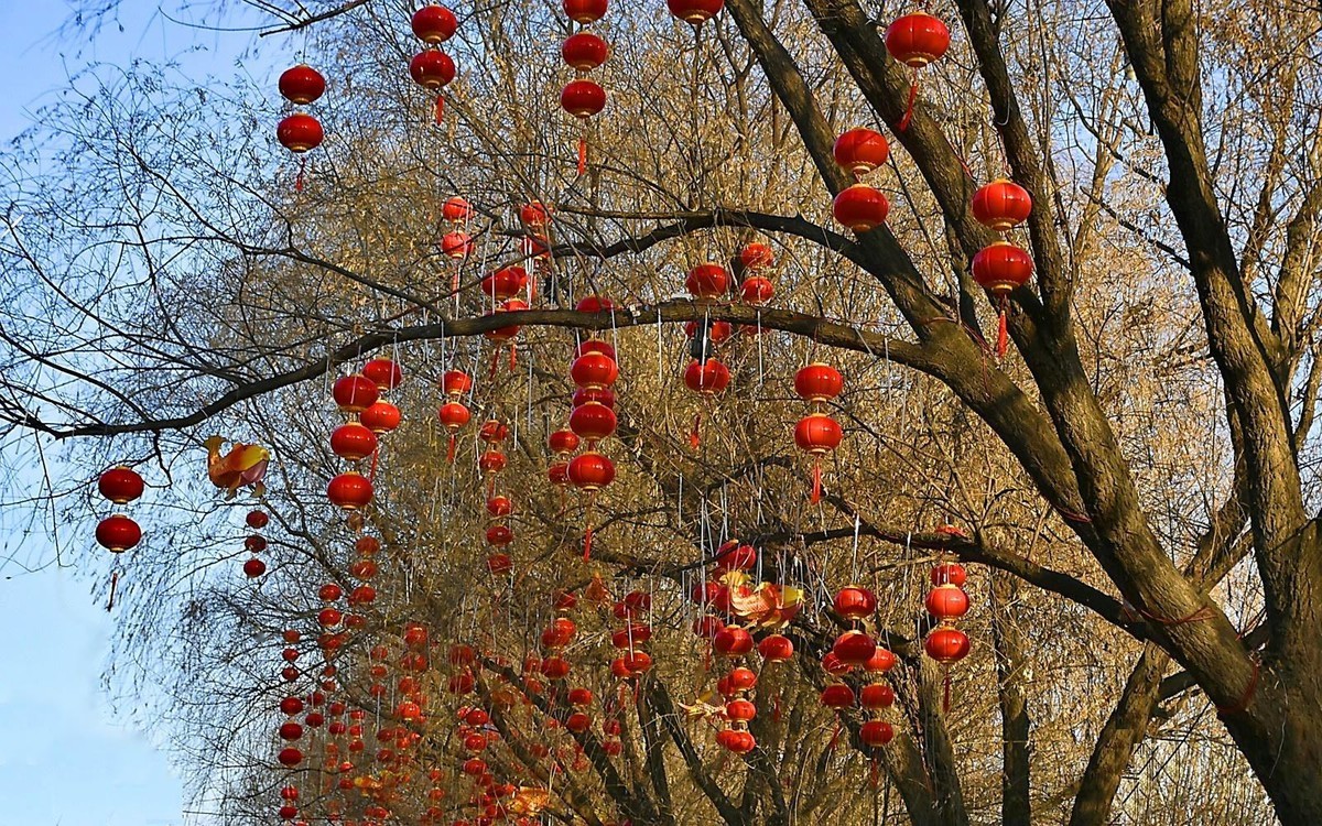 黄河水清  兰州年味