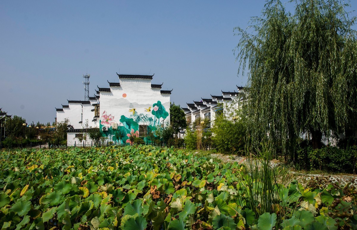 美丽乡村（二）