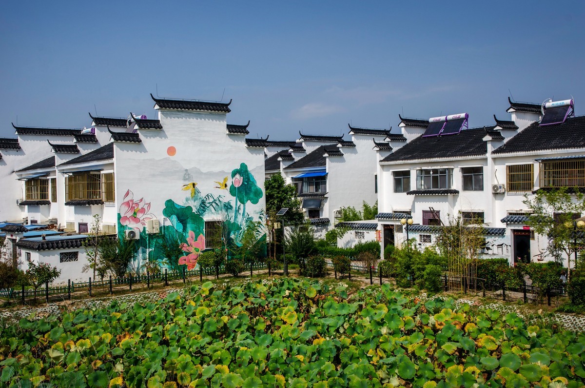 美丽乡村（二）