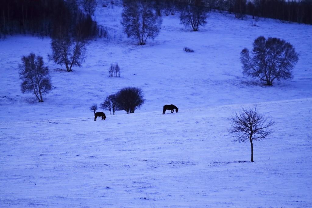 最美的季节看草原