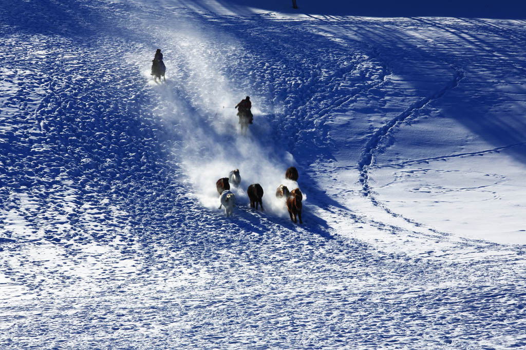 最美的季节看草原