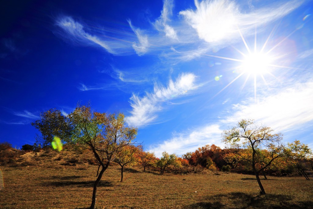 最美的季节看草原