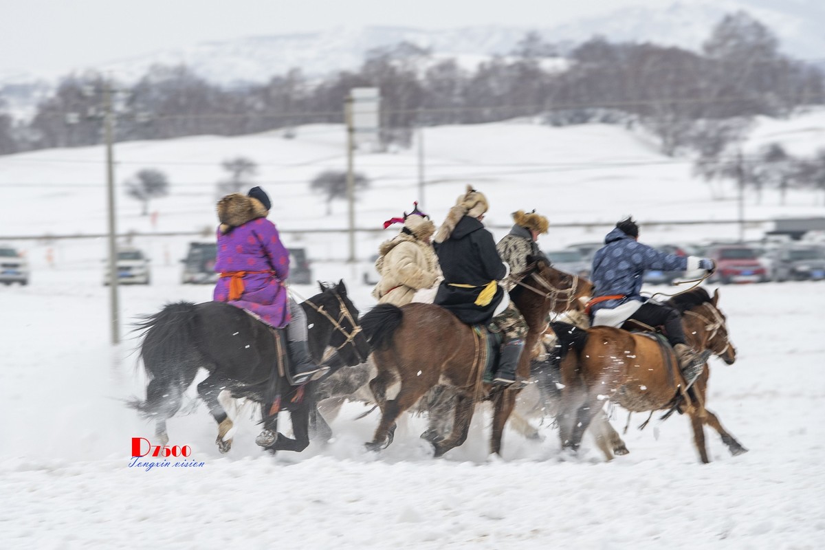 快乐的牧马人（52）