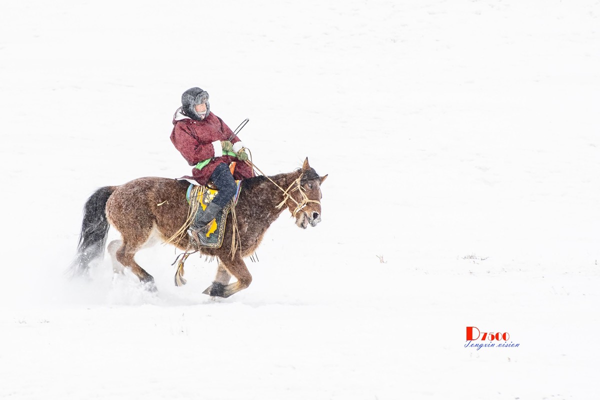 快乐的牧马人（52）