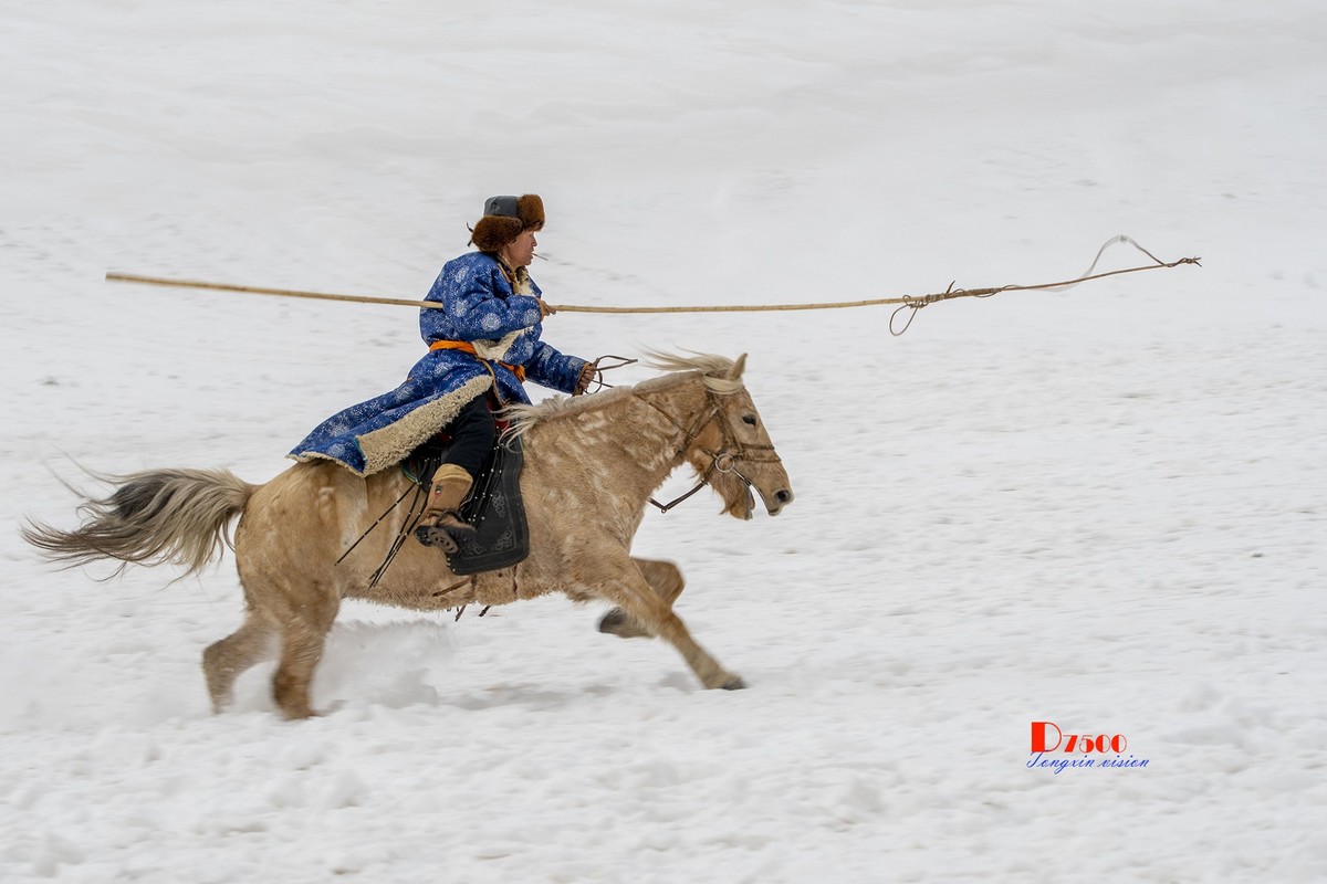 快乐的牧马人（52）