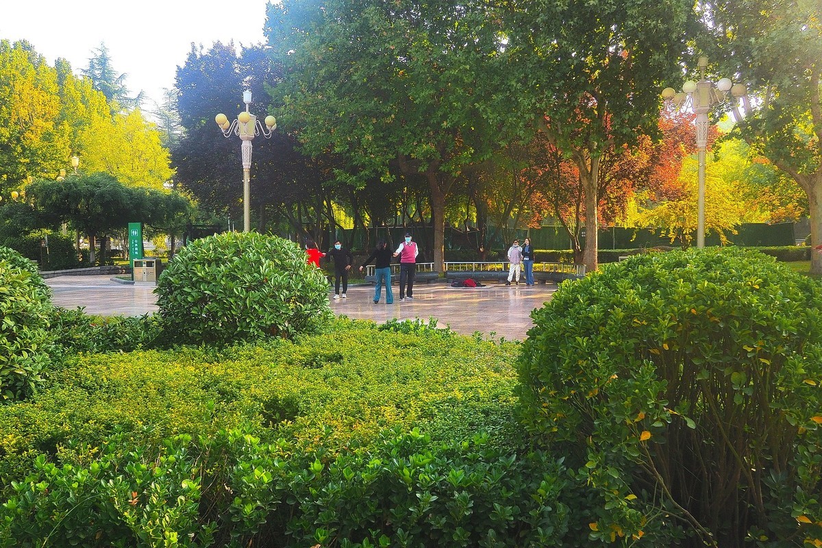 秋日·西清公园