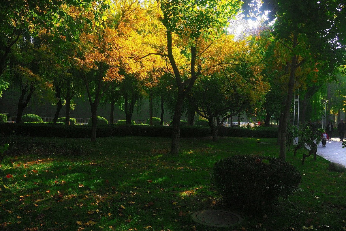 秋日·西清公园