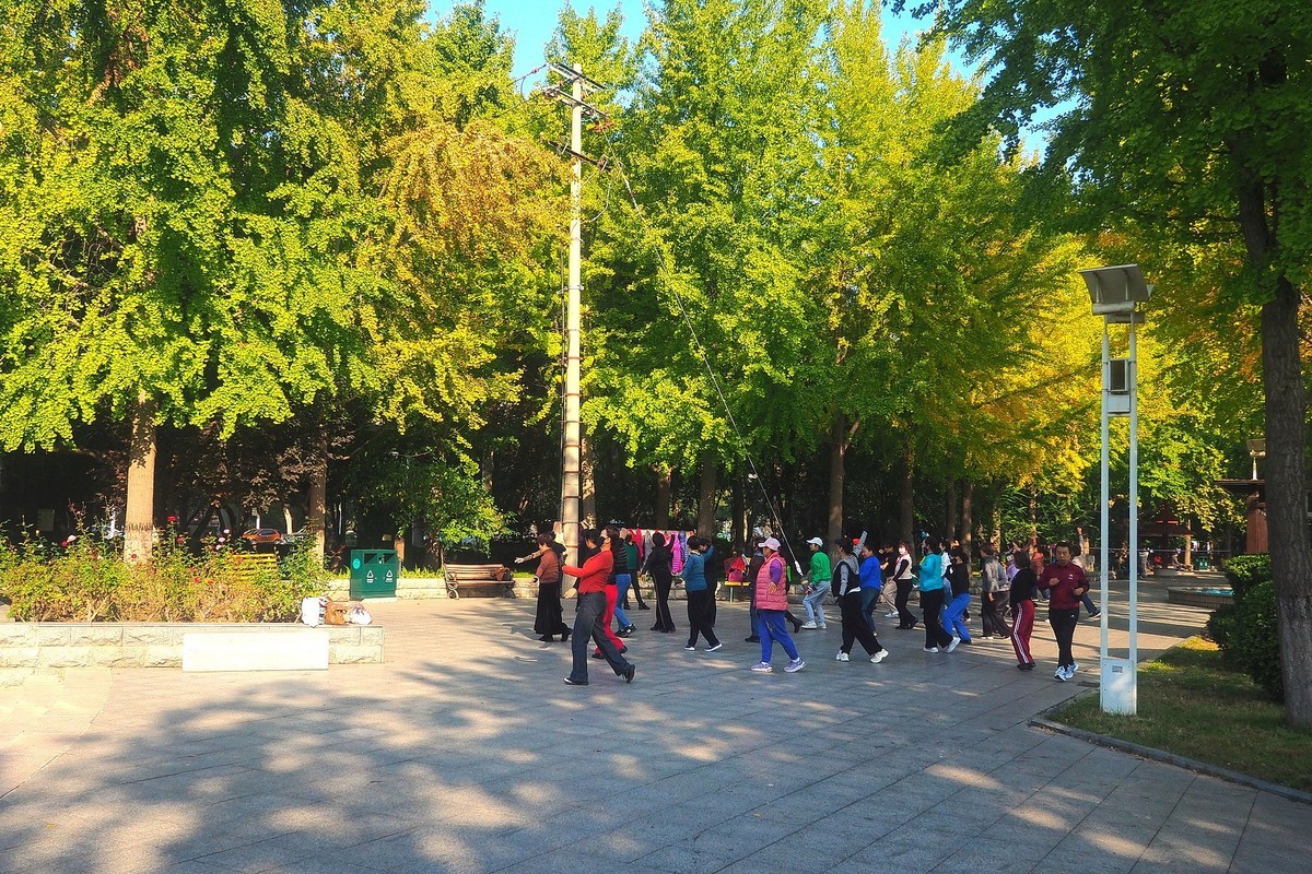 秋日·西清公园