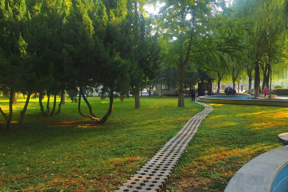 秋日·西清公园