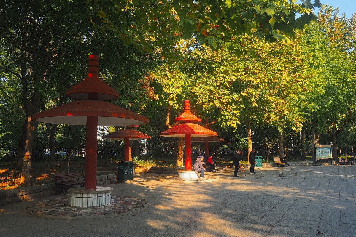 秋日·西清公园