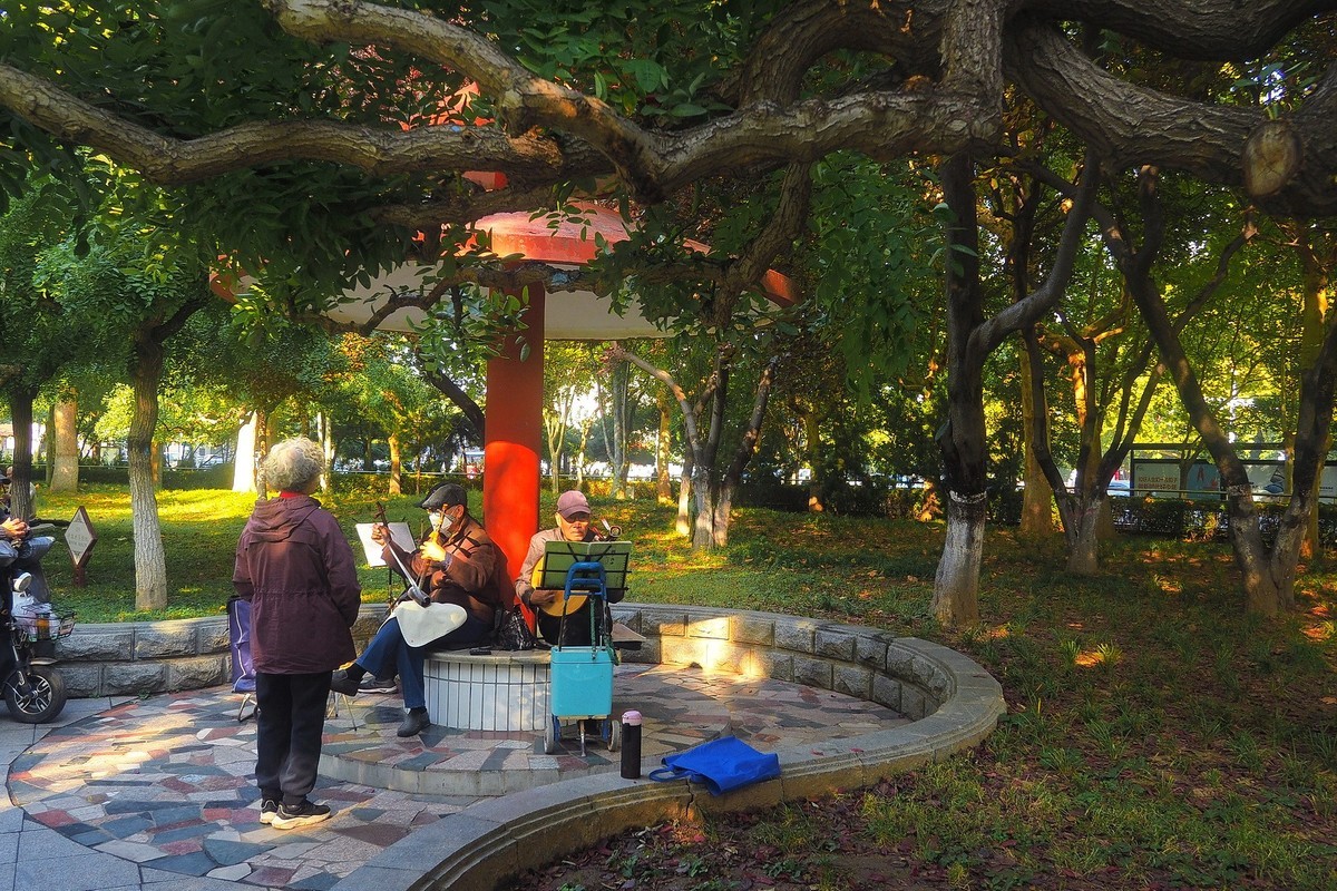 秋日·西清公园