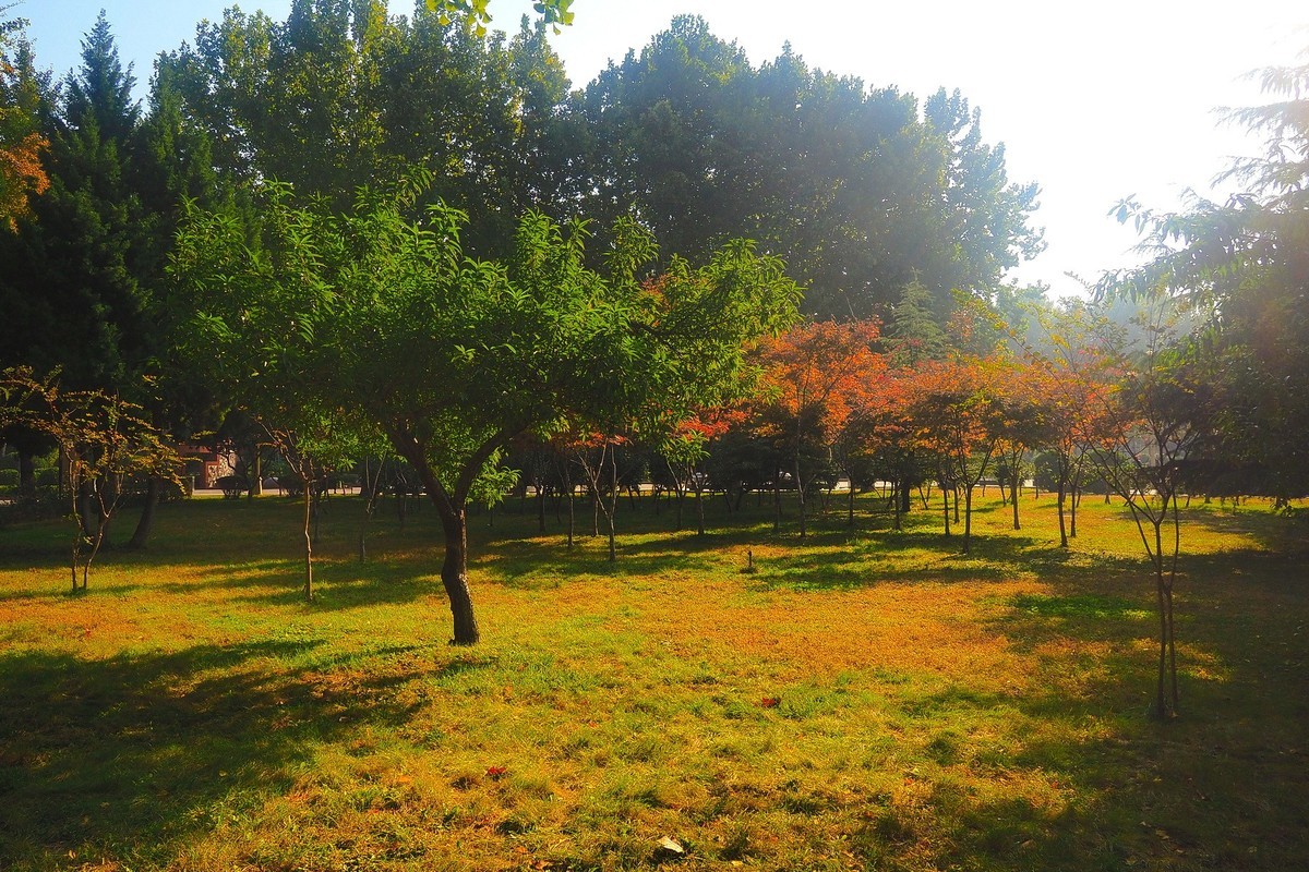 秋日·西清公园