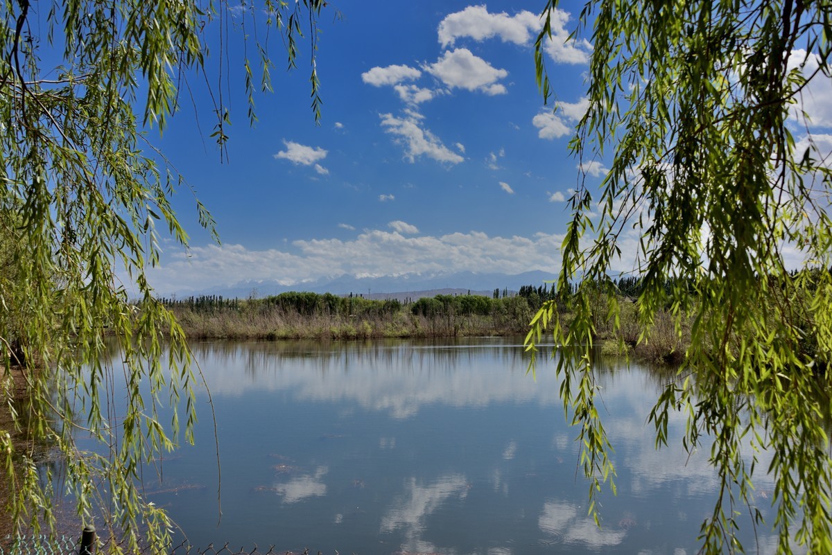 夏日青海甘肃大环线掠影——嘉峪关【1】