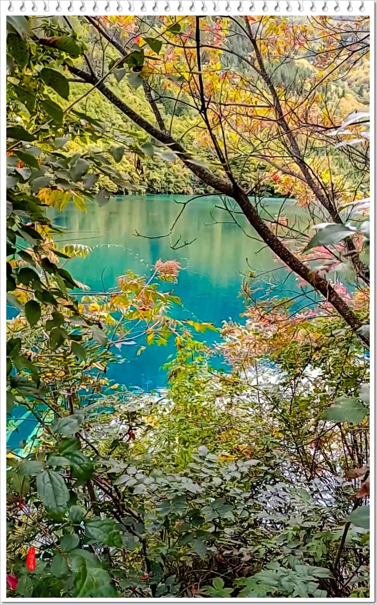 2022年九寨沟云拍-72