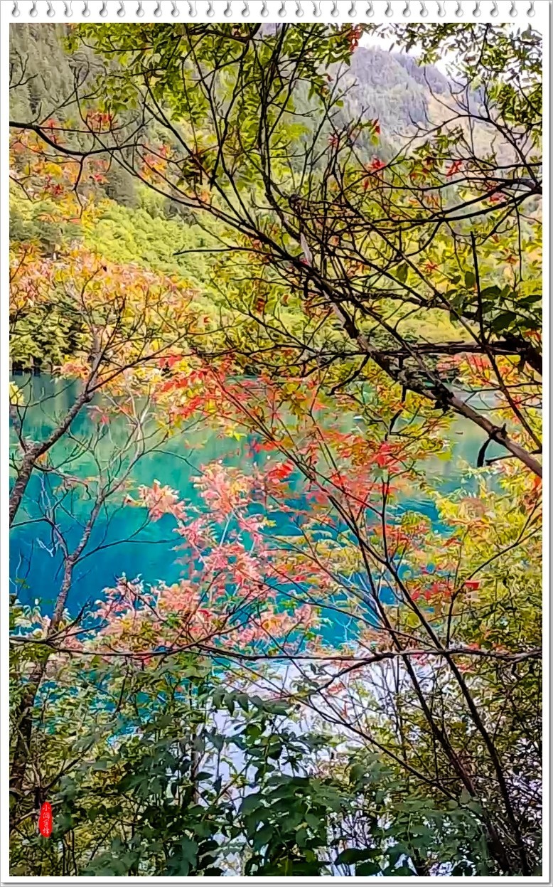 2022年九寨沟云拍-72