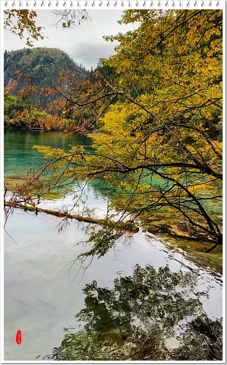 2022年九寨沟云拍-72