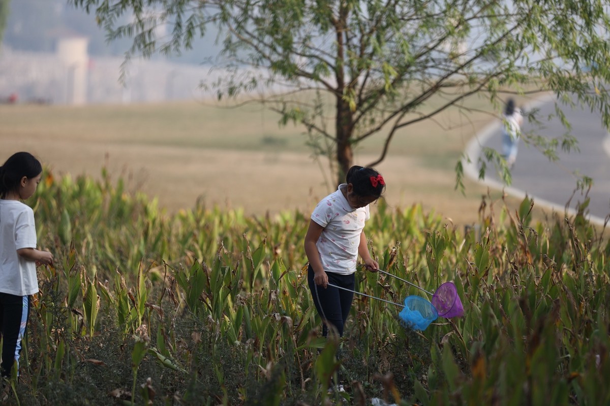 周未来鸭子铺休闲之人