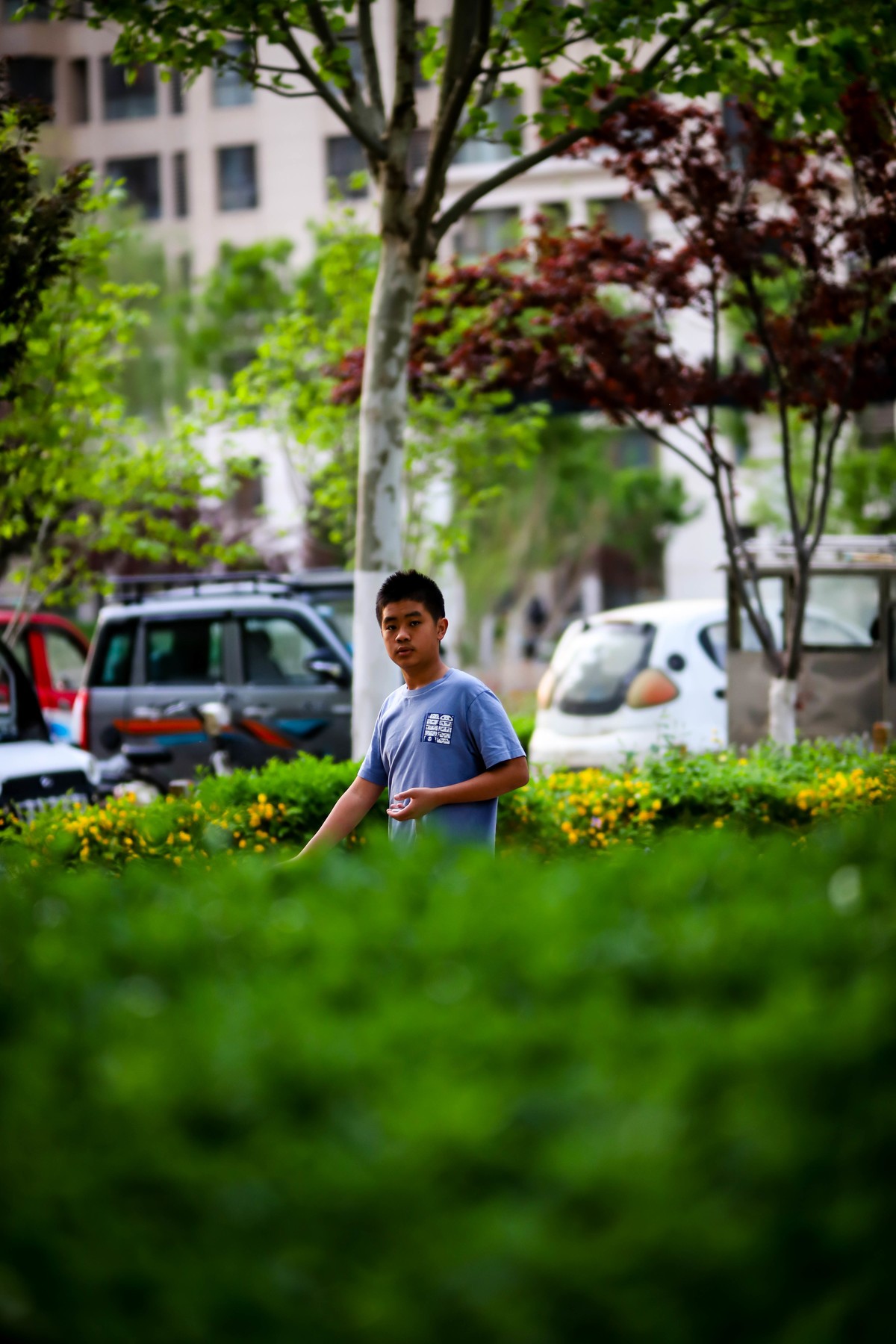 佳能6d2+国产中一光学135mmF2.5手动镜头抓怕人像、运动、飞鸟