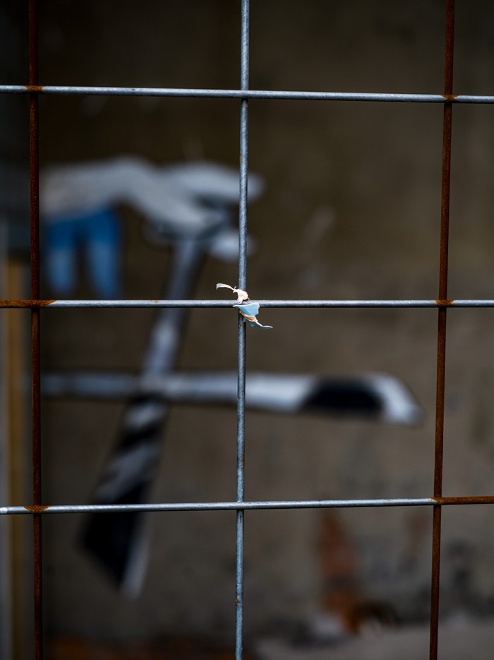 哈苏 X1Dii+XCD21+65 ( 深圳蛇口随拍 )