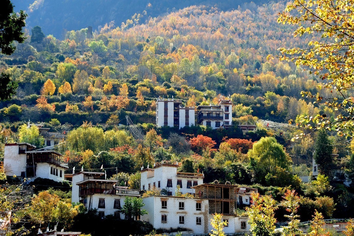 尼康D5100星空(中国)2023年十一月份优秀作品精选汇总