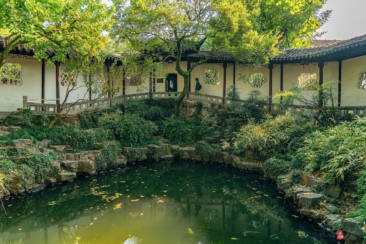 尼康D5100星空(中国)2023年十一月份优秀作品精选汇总