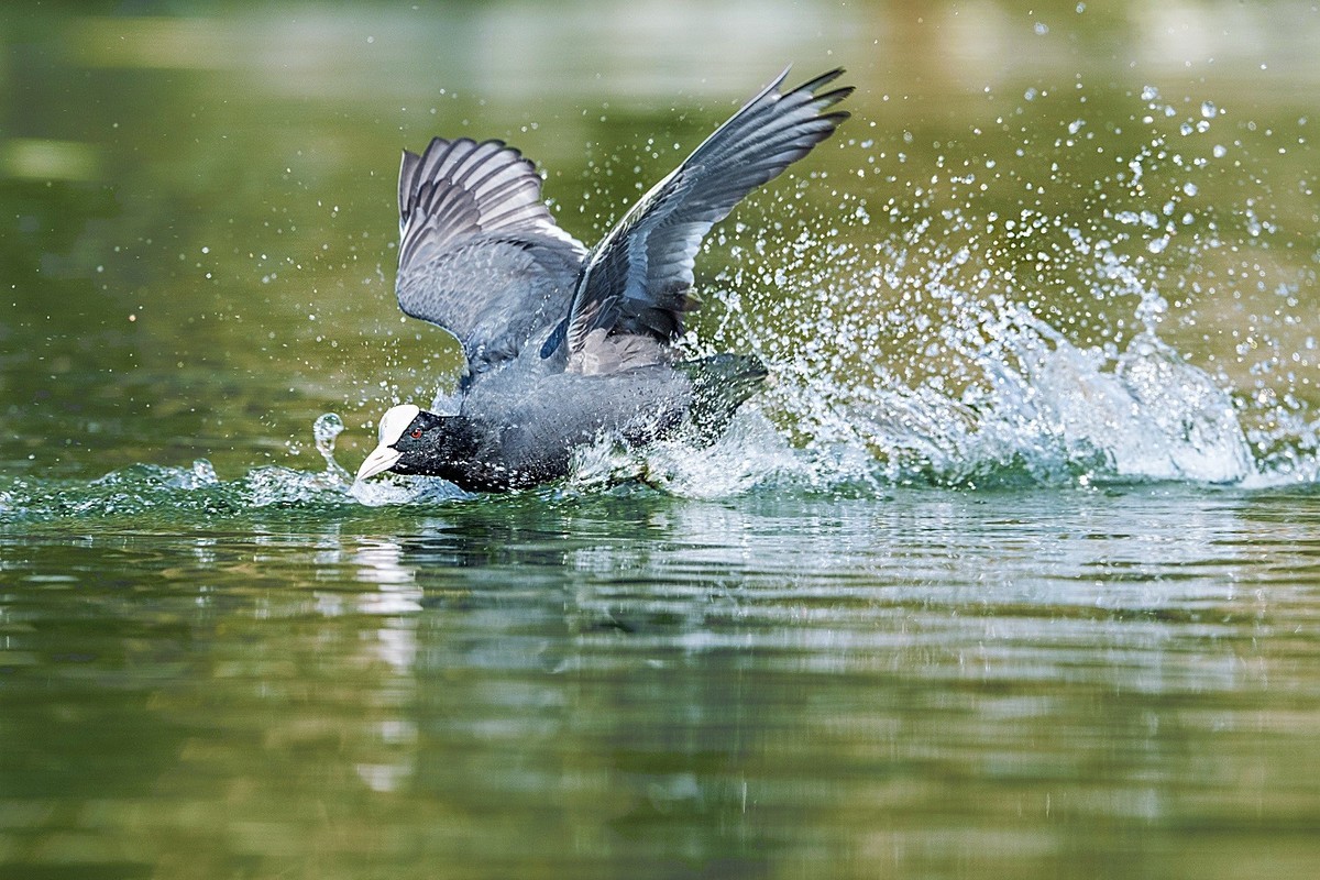 生命不息，战斗不止！