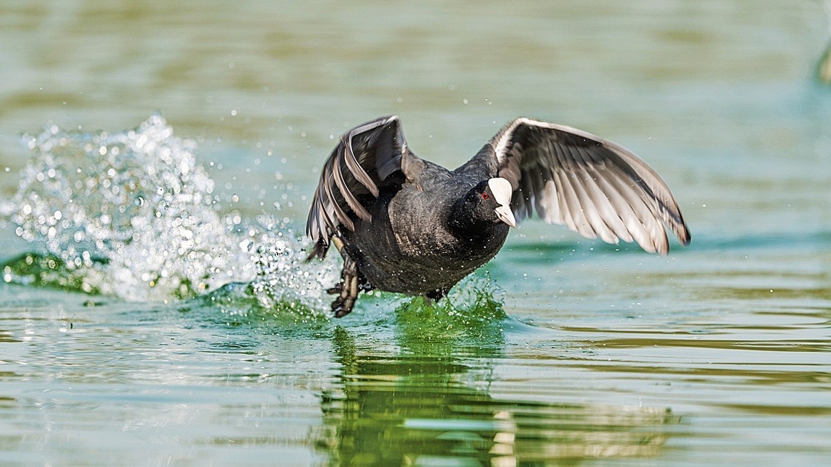 生命不息，战斗不止！