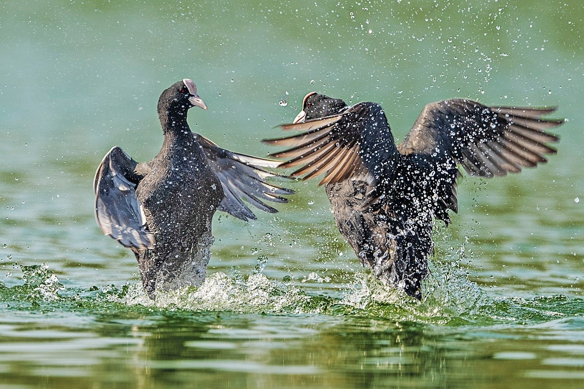 生命不息，战斗不止！