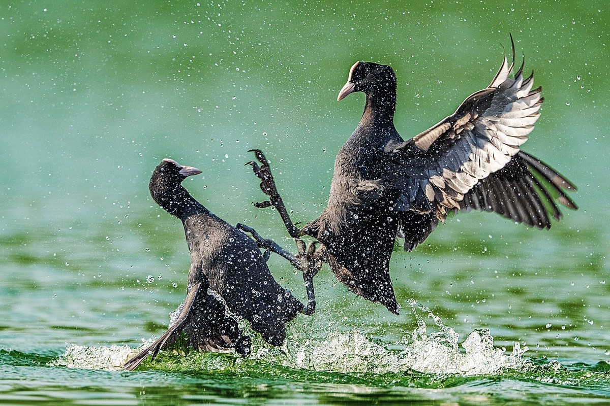 生命不息，战斗不止！