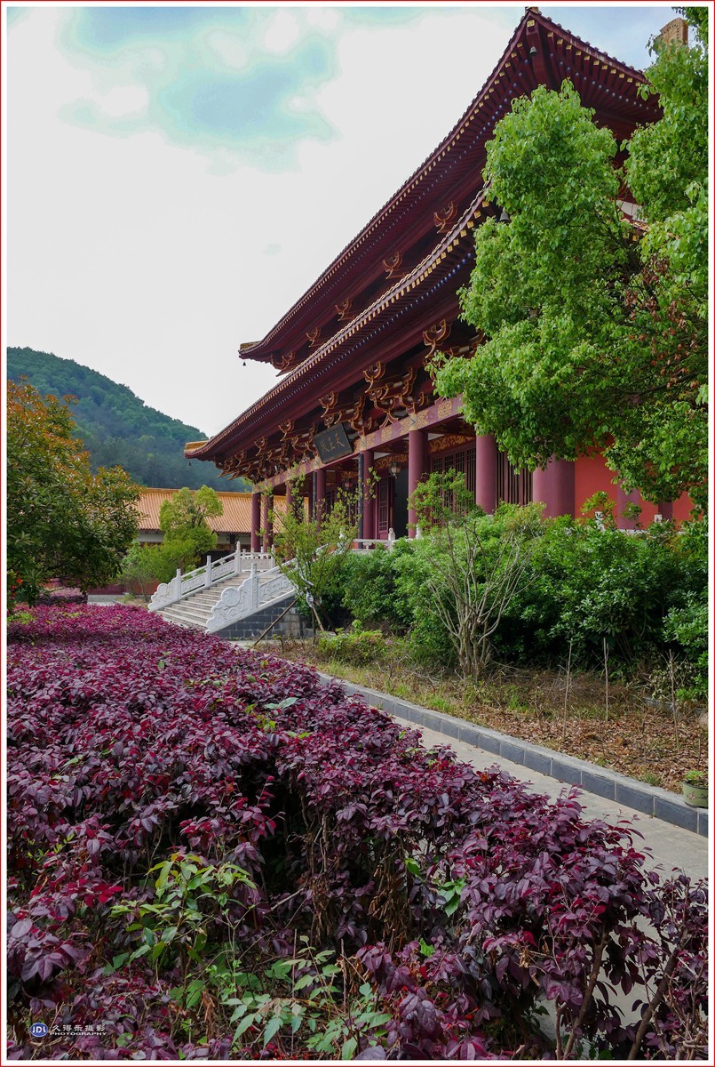 2024-(122)武汉蔡甸嵩阳寺(四)