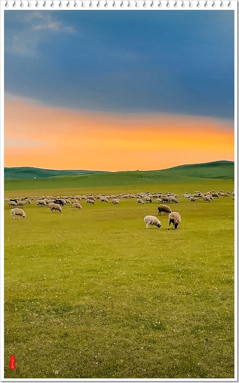 2024年-呼伦贝尔风光纪实抓拍-0519