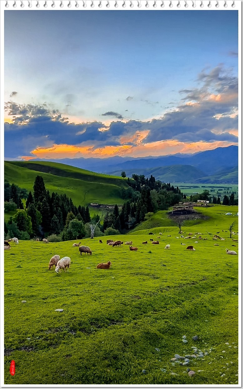 2024年-呼伦贝尔风光纪实抓拍-0519