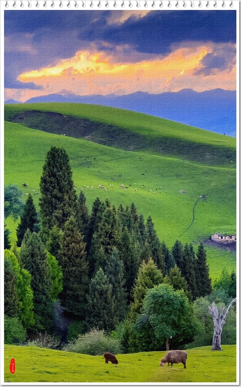 2024年-呼伦贝尔风光纪实抓拍-0519