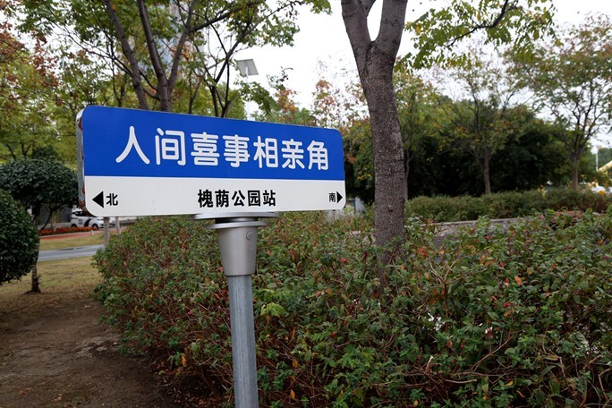 新人新帖，天气不好，公园随拍