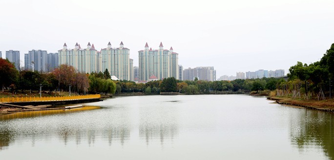 新人新帖，天气不好，公园随拍