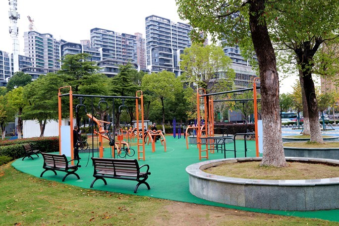 新人新帖，天气不好，公园随拍