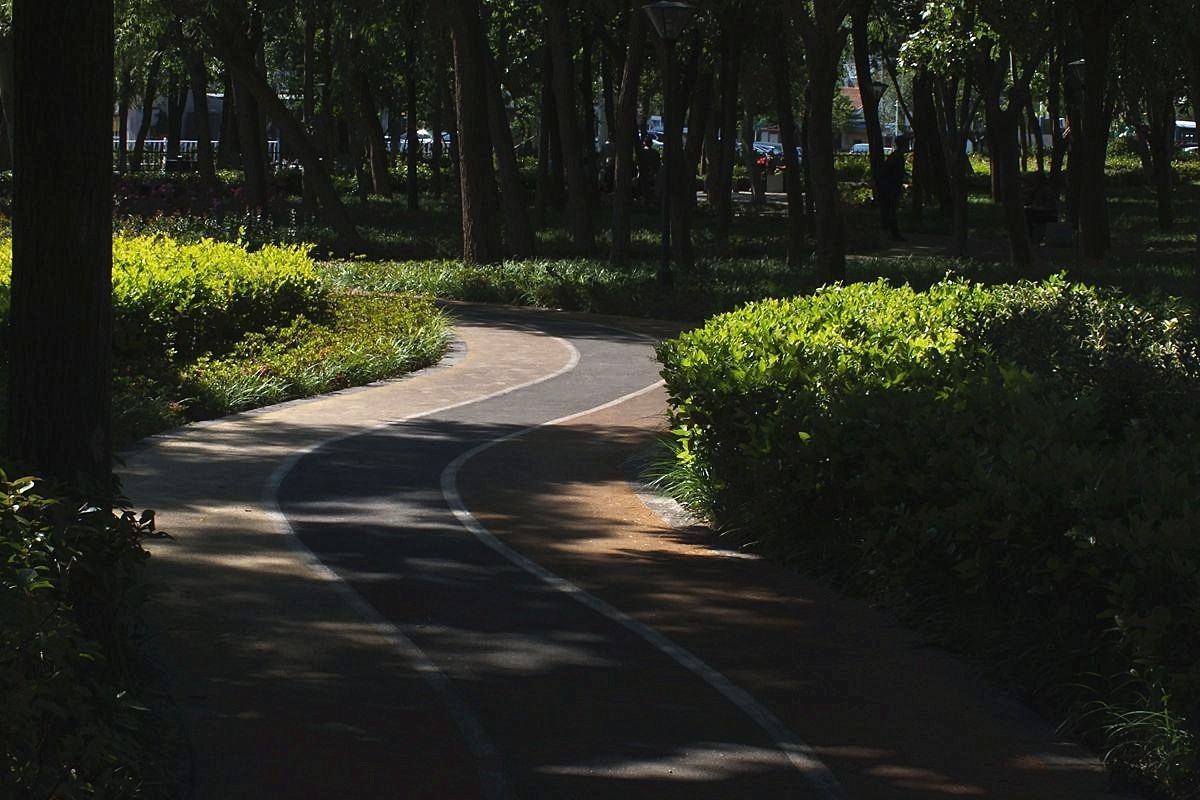 街心口袋公园速写--11P