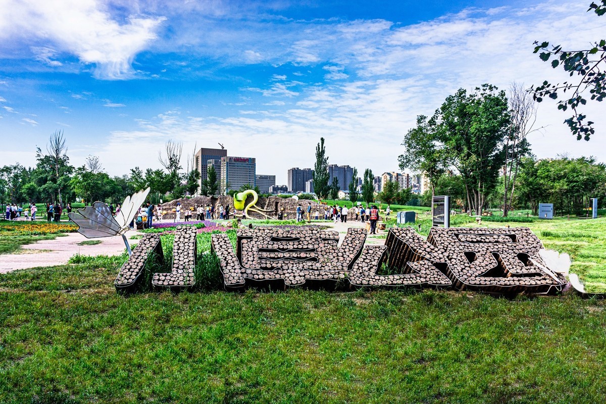 小草公园 草的世界