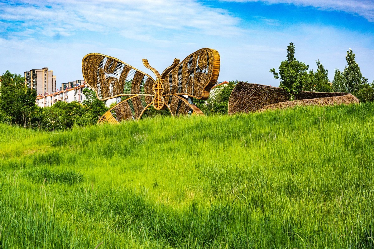 小草公园 草的世界