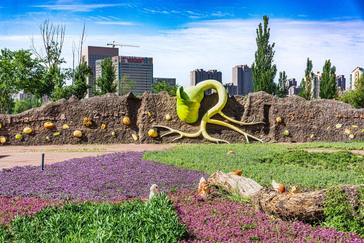 小草公园 草的世界